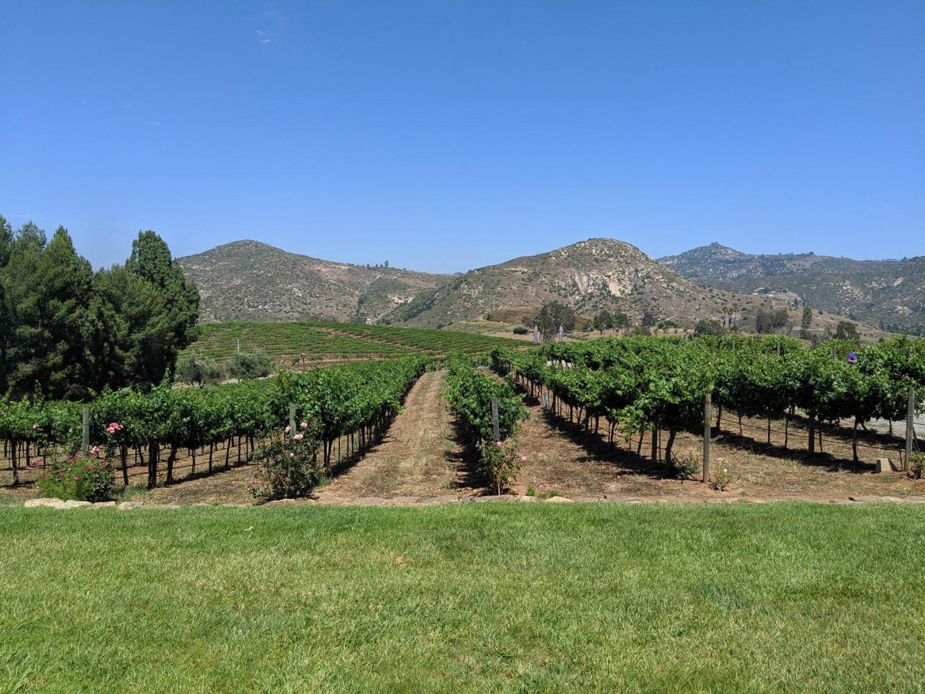 Orfila Winery