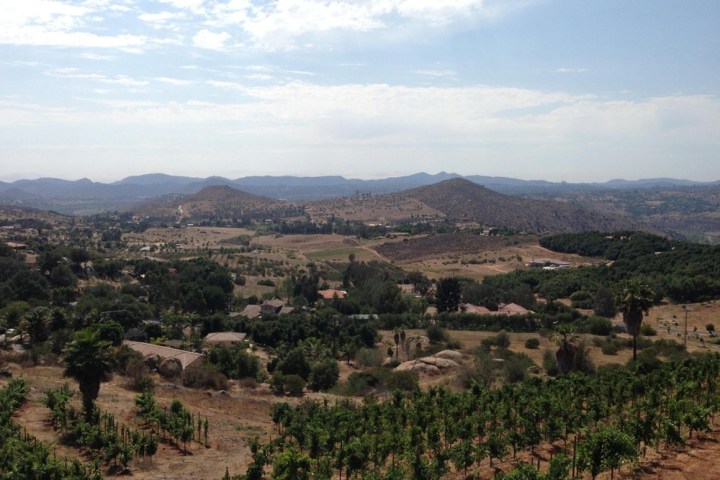 a field with a mountain in the background