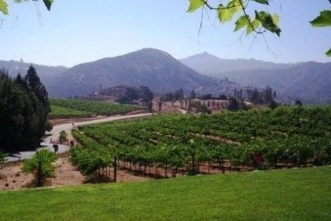 a view of a lush green hillside