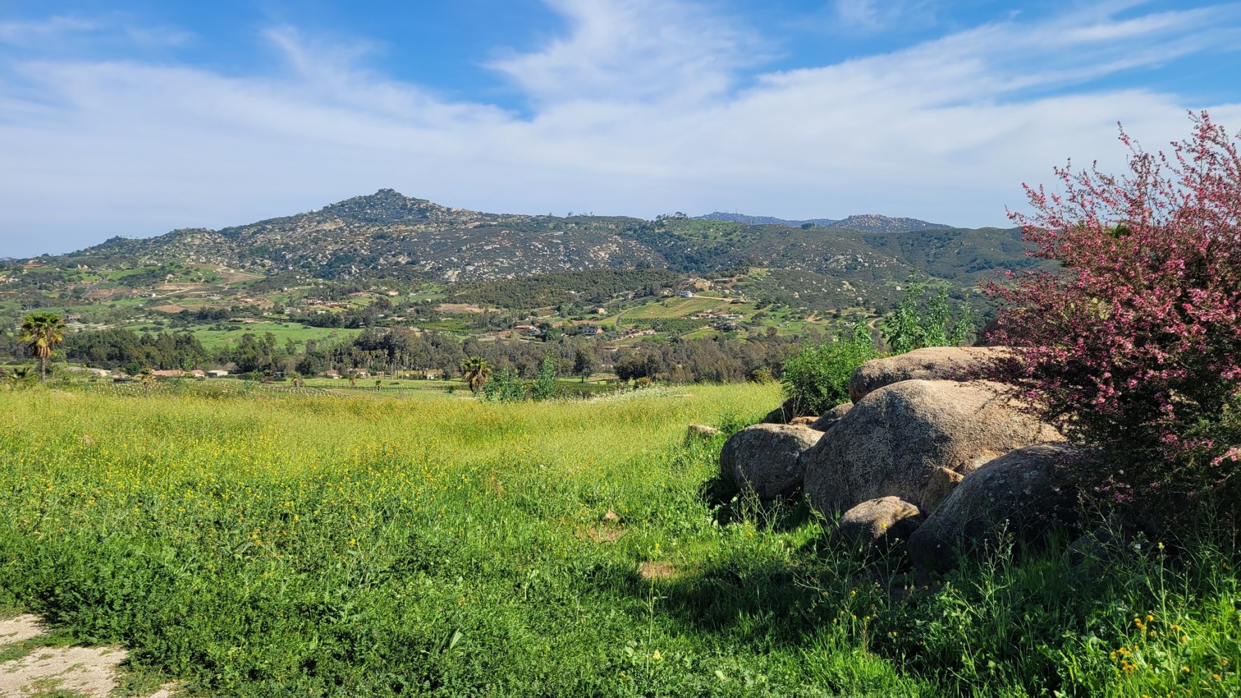 San Diego has over 150 wineries with vineyards 